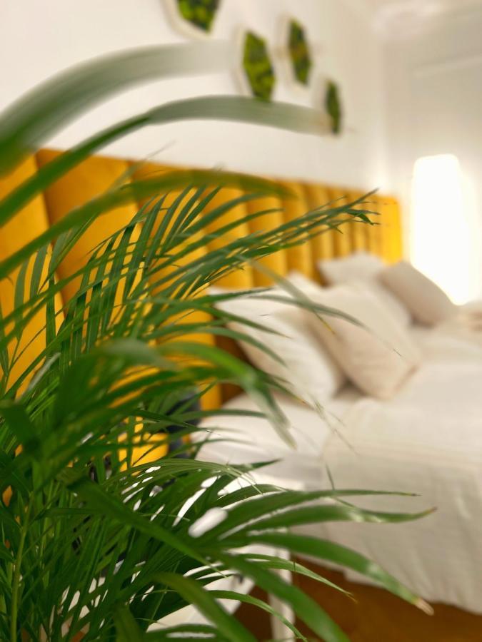 Studio 118 - A Luxury Place,10Min Walk To City Center Timisoara Exterior photo